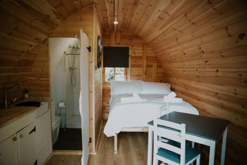 Pine Cosy Winter Cabin - Hot Tub & Log Burner Barmouth Exterior photo