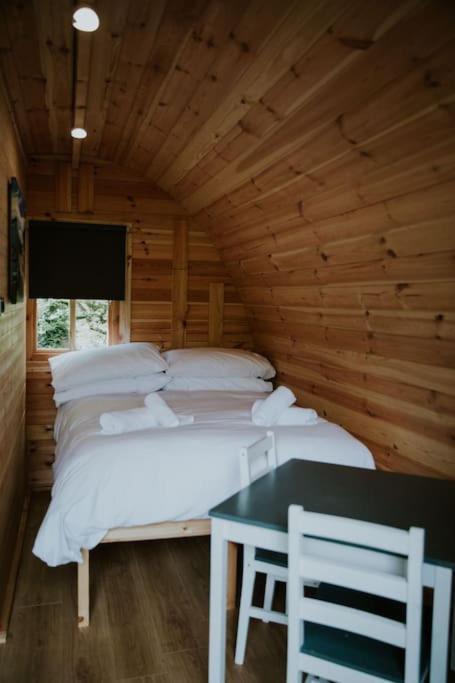 Pine Cosy Winter Cabin - Hot Tub & Log Burner Barmouth Exterior photo